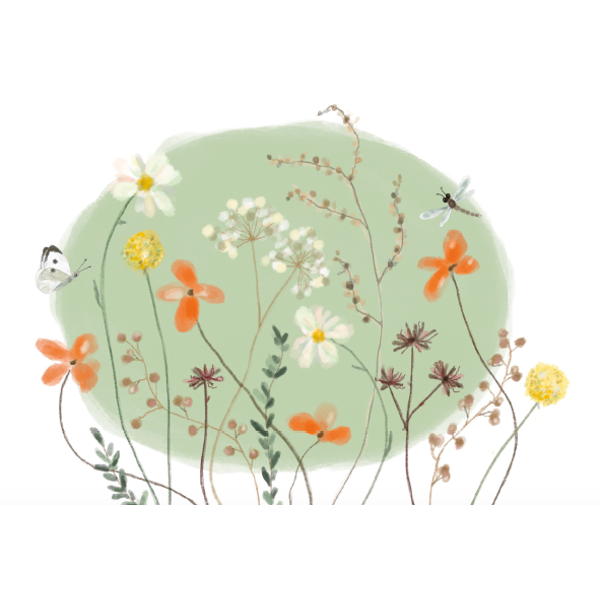 Wenskaart bloemen en vlinder (F10007)