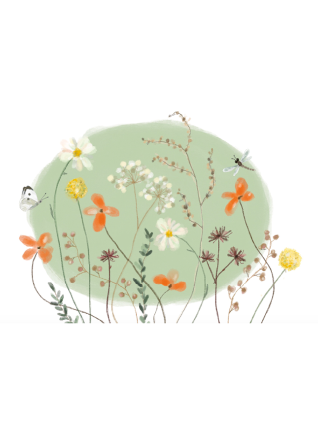 Wenskaart bloemen en vlinder (F10007)