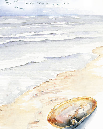 Greeting card beach with shell (F11013)