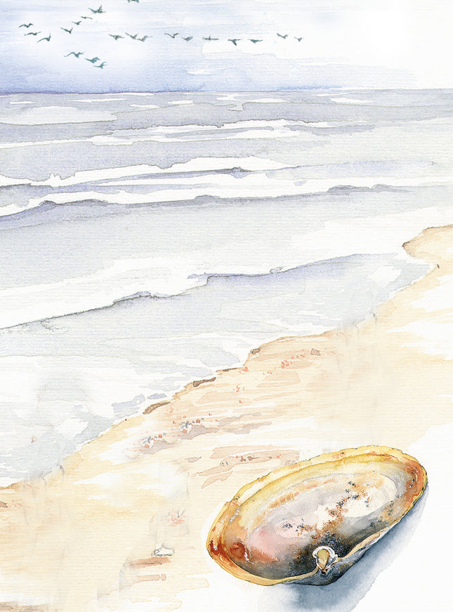 Wenskaart strand met schelp (F11013)