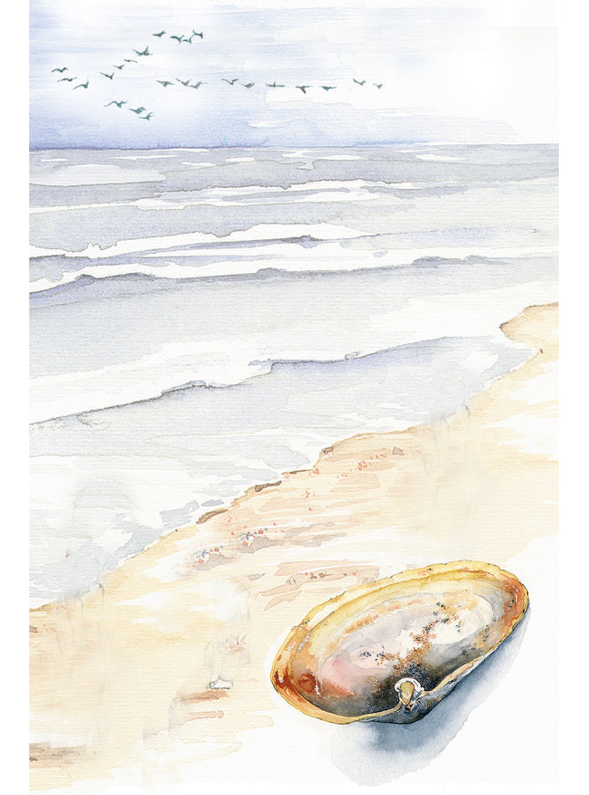 Wenskaart strand met schelp (F11013)