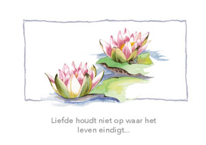 Wenskaart condoleance roze lelies (F12681)