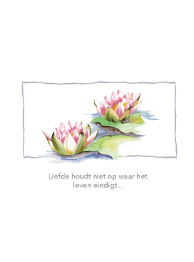 Wenskaart condoleance roze lelies (F12681)