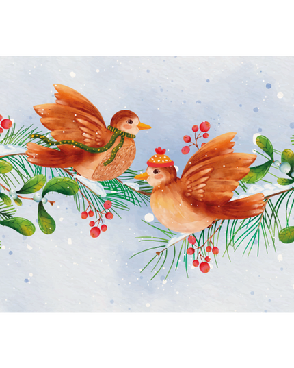 wenskaart vogeltjes (F13114)