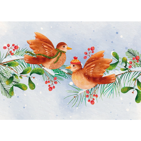 wenskaart vogeltjes (F13114)