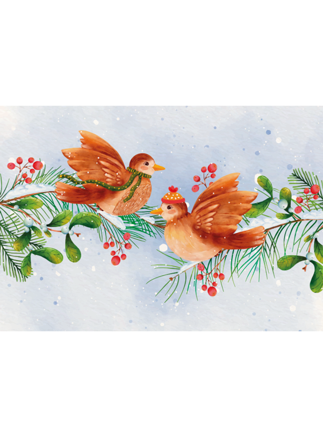 wenskaart vogeltjes (F13114)