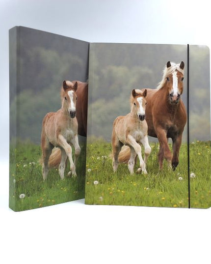Map A4 "paarden"