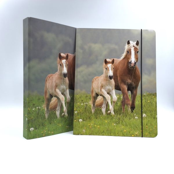 Map A4 "paarden"