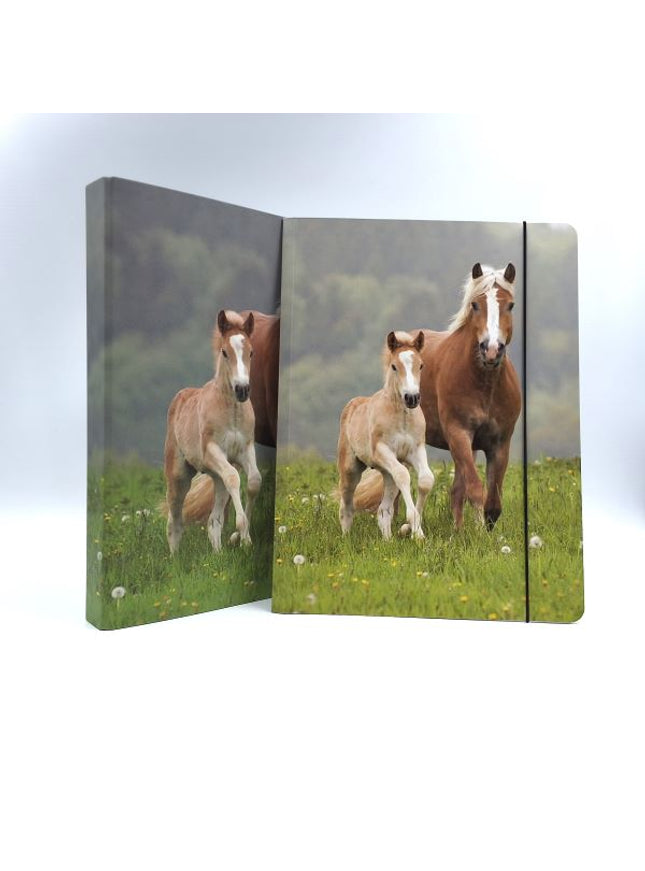 Map A4 "paarden"