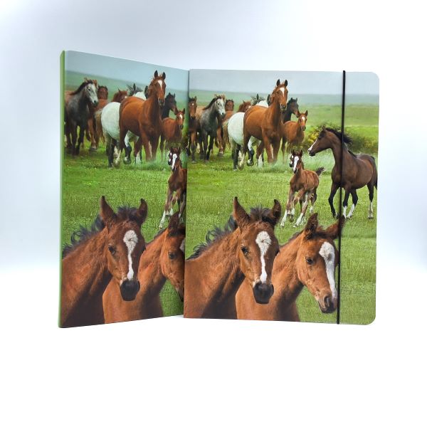 Map A4 "wilde paarden"