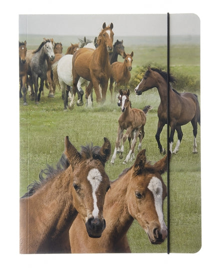 Map A4 "wilde paarden"