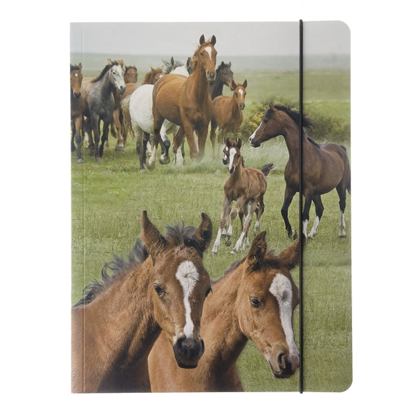 Map A4 "wilde paarden"