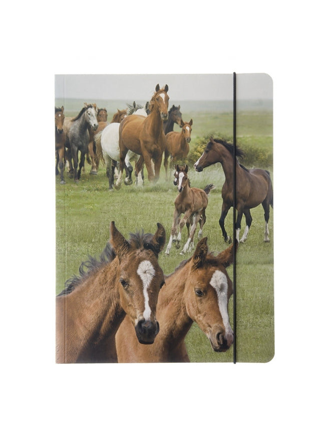 Map A4 "wilde paarden"