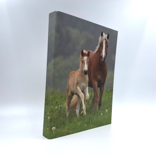 Ringmap recycled karton - 2 paarden
