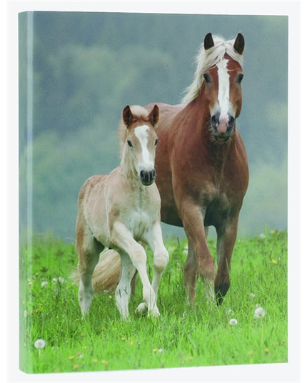 Recycled cardboard ring binder - 2 horses