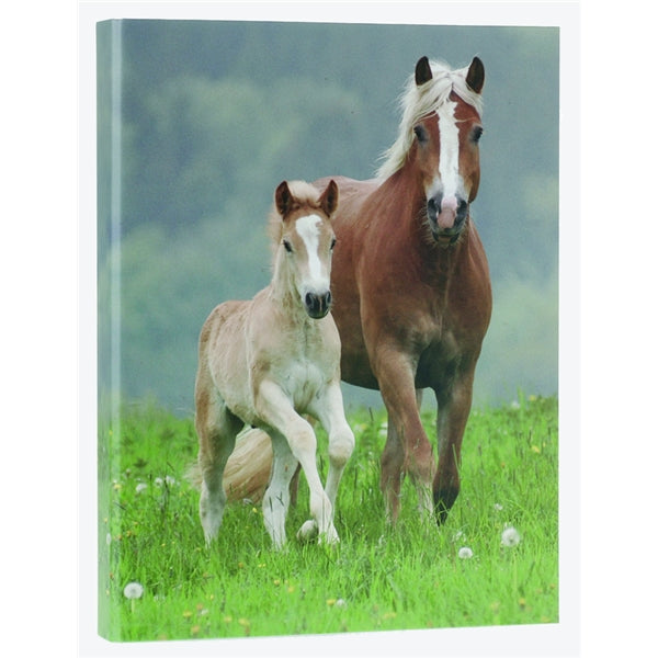 Ringmap recycled karton - 2 paarden