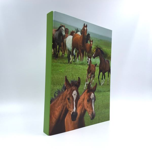 Ringmap recycled karton - wilde paarden