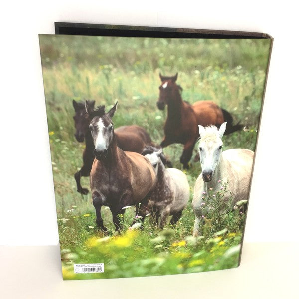 Ringmap recycled karton - paarden collage