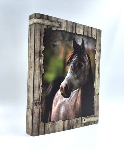 Ringmap recycled karton - Grey Beauty