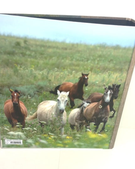 Ringmap recycled karton - paarden collage