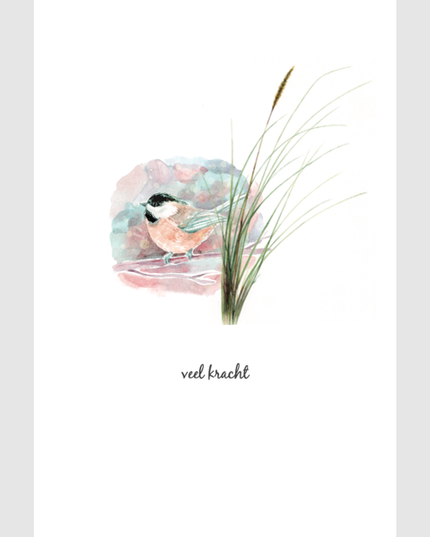 wenskaart vogel, veel kracht (F15201)