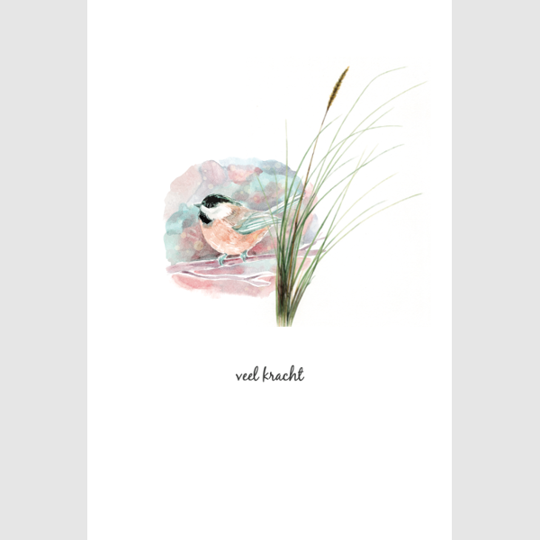 wenskaart vogel, veel kracht (F15201)