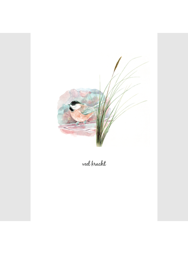 wenskaart vogel, veel kracht (F15201)