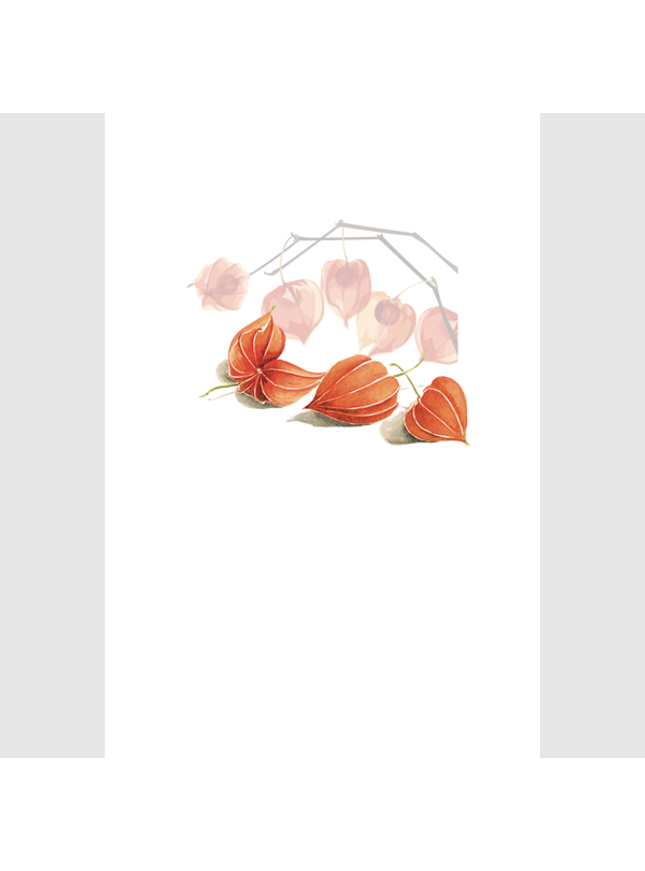 greeting card lanterns (F15204)