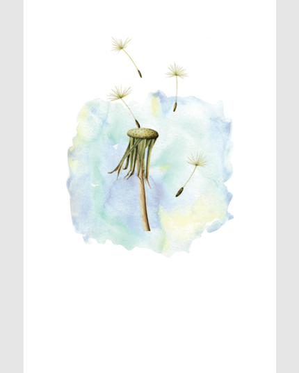 Wenskaart paardenbloem condoleance (F15206)