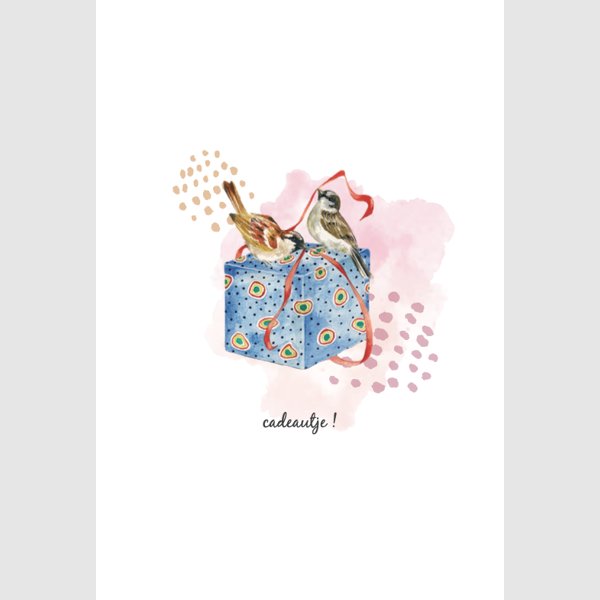 wenskaart vogeltjes en cadeau (F15224)