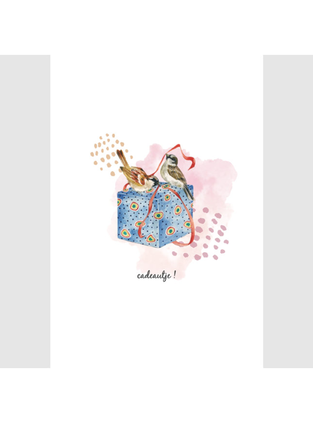 wenskaart vogeltjes en cadeau (F15224)