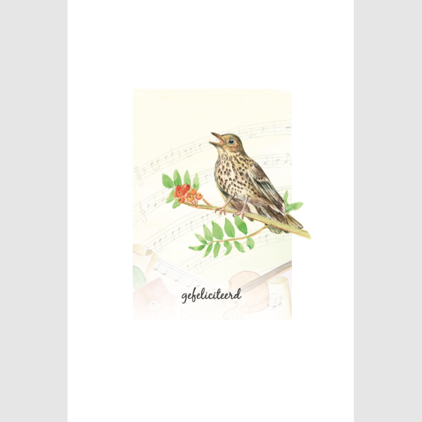 wenskaart vogel, gefeliciteerd (F15225)