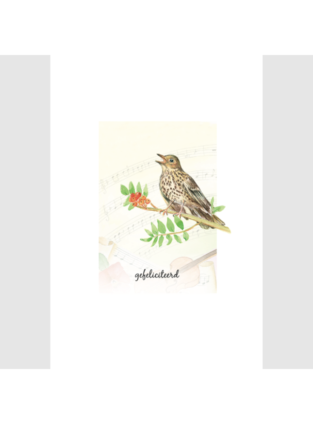 wenskaart vogel, gefeliciteerd (F15225)