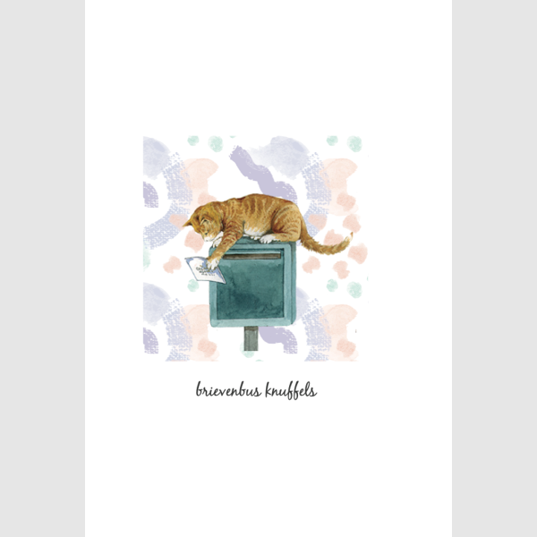 Wenskaart poes, brievenbus knuffels (F15231)