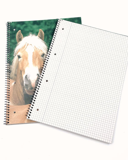 Collegeblok A4 - geruit 5x5 mm - "paarden"