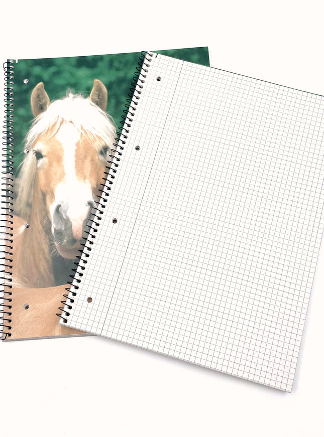 Collegeblok A4 - geruit 5x5 mm - "paarden"
