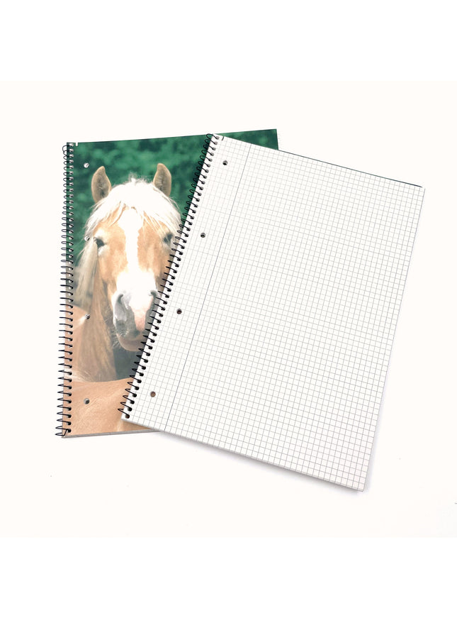 Collegeblok A4 - geruit 5x5 mm - "paarden"