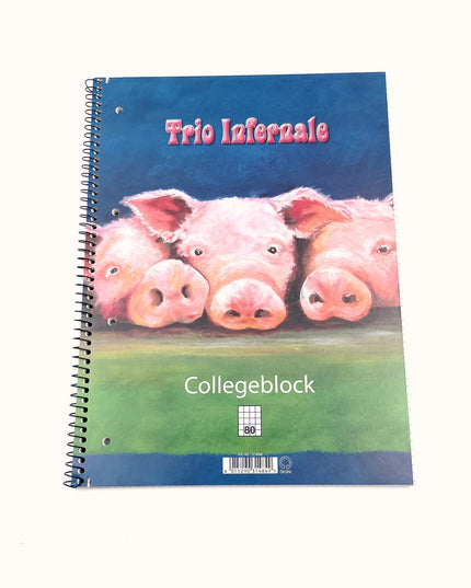 Collegeblok A4 - geruit 5x5 mm - "trio infernale"