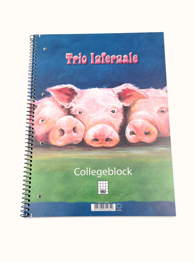 Collegeblok A4 - geruit 5x5 mm - "trio infernale"