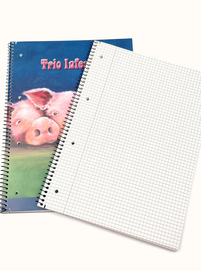 Collegeblok A4 - geruit 5x5 mm - "trio infernale"