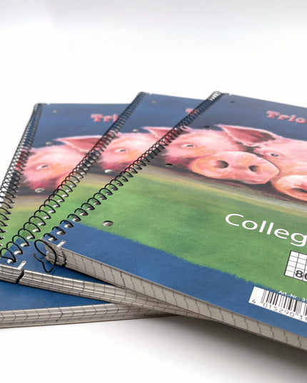 Collegeblok A4 - geruit 5x5 mm - "trio infernale"