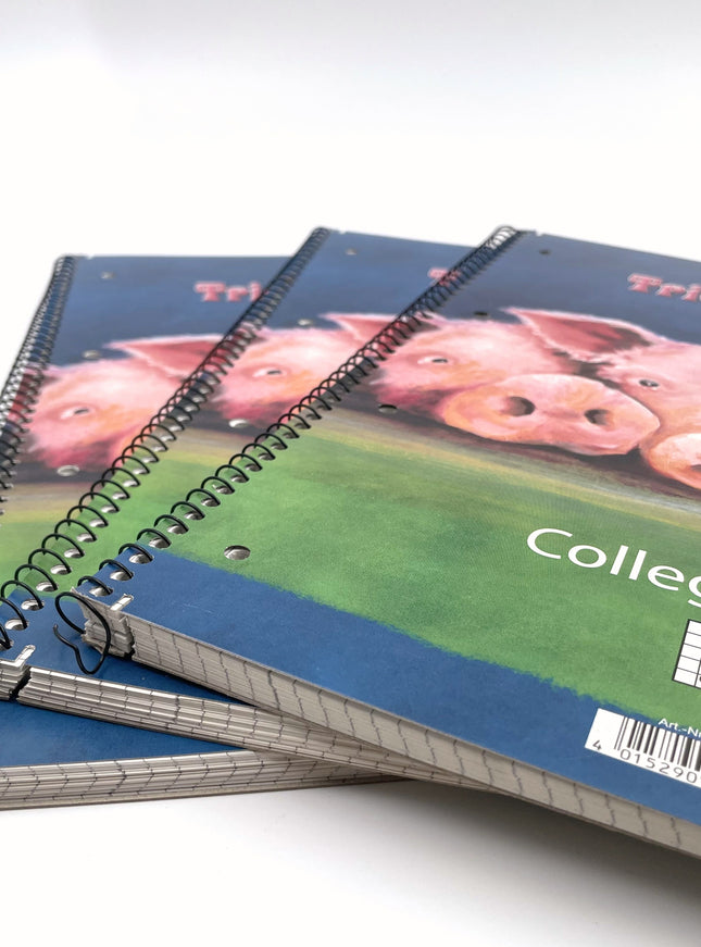 Collegeblok A4 - geruit 5x5 mm - "trio infernale"