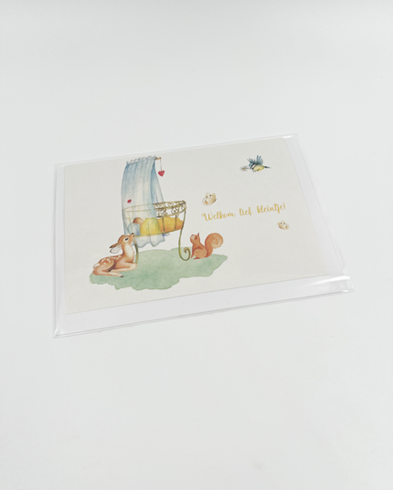 Wenskaart Welkom lief kleintje (F10016)