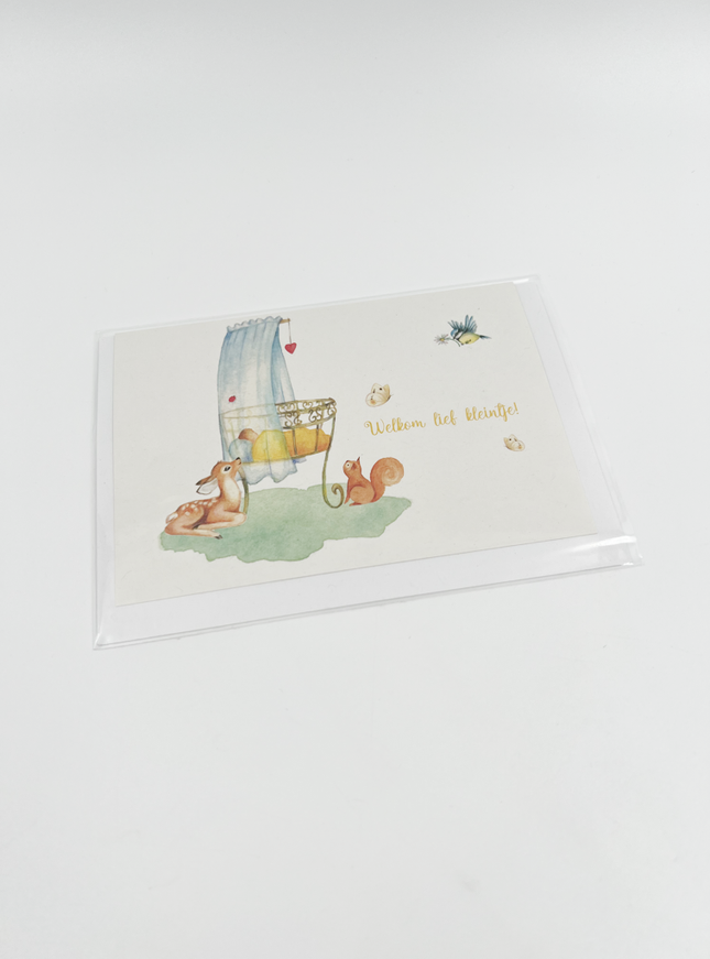 Wenskaart Welkom lief kleintje (F10016)