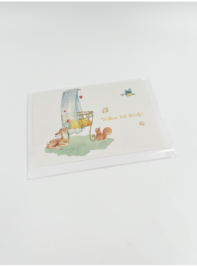 Wenskaart Welkom lief kleintje (F10016)