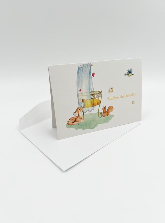 Wenskaart Welkom lief kleintje (F10016)