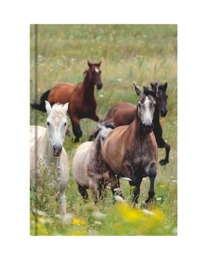 Boek met harde kaft A5 - paarden collage
