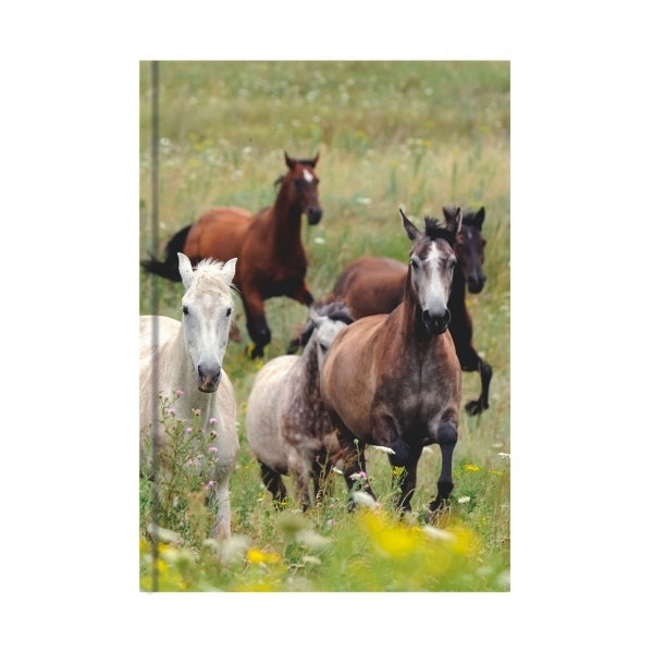 Boek met harde kaft A5 - paarden collage