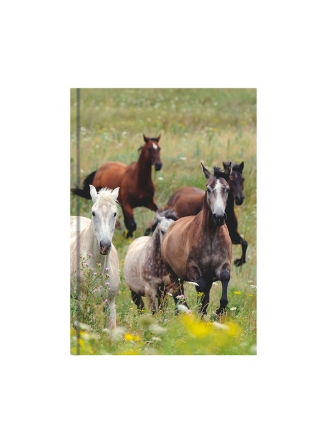Boek met harde kaft A5 - paarden collage
