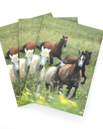 Boek met harde kaft A5 - paarden collage